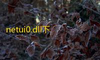 netui0.dll下载